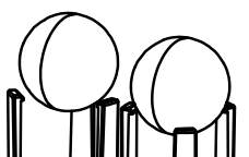 Balcrank Check Ball Kit for Poly CF15 833208