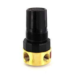 Parker-Watts 1/4" NPT Pressure Regulator R364-02C