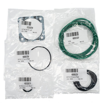 Mattei Separator Kit 10000 Hours IF57A25797