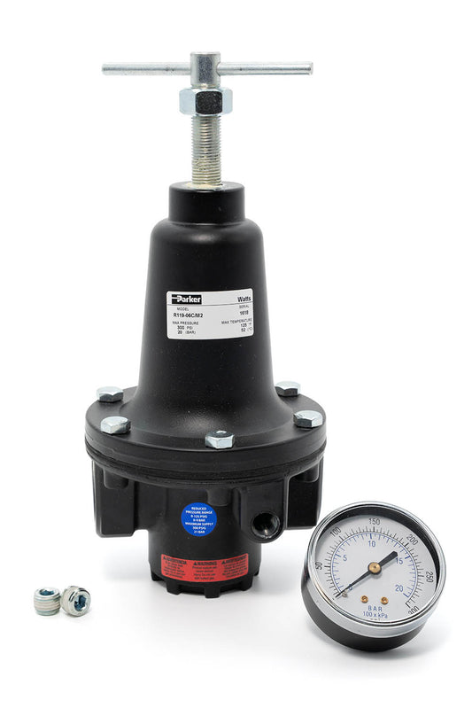 Parker-Watts 3/4" NPT Pressure Regulator R119-06C