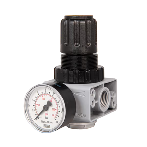 Unipipe 1/4" NPT Regulator with Gauge RWG.025175