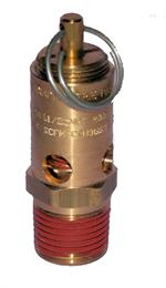 Castair 1/2" NPT 50-250PSI ASME Safety Relief Valve SF50